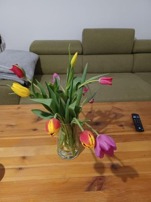 비엔나 Sehr Zentral Gelegen 아파트 외부 사진